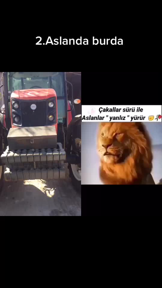@06Yasin ayan06