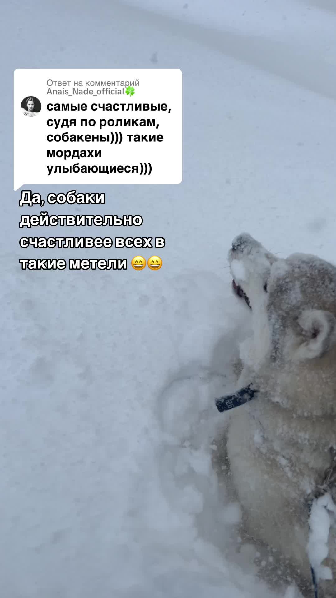@судный день