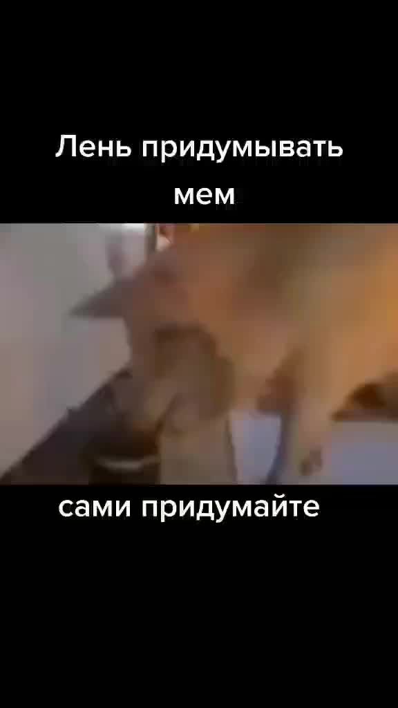 @😎Самый крутой Сигма Гигачад💪