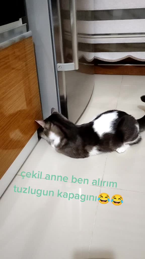 @Elif Enise Alançay