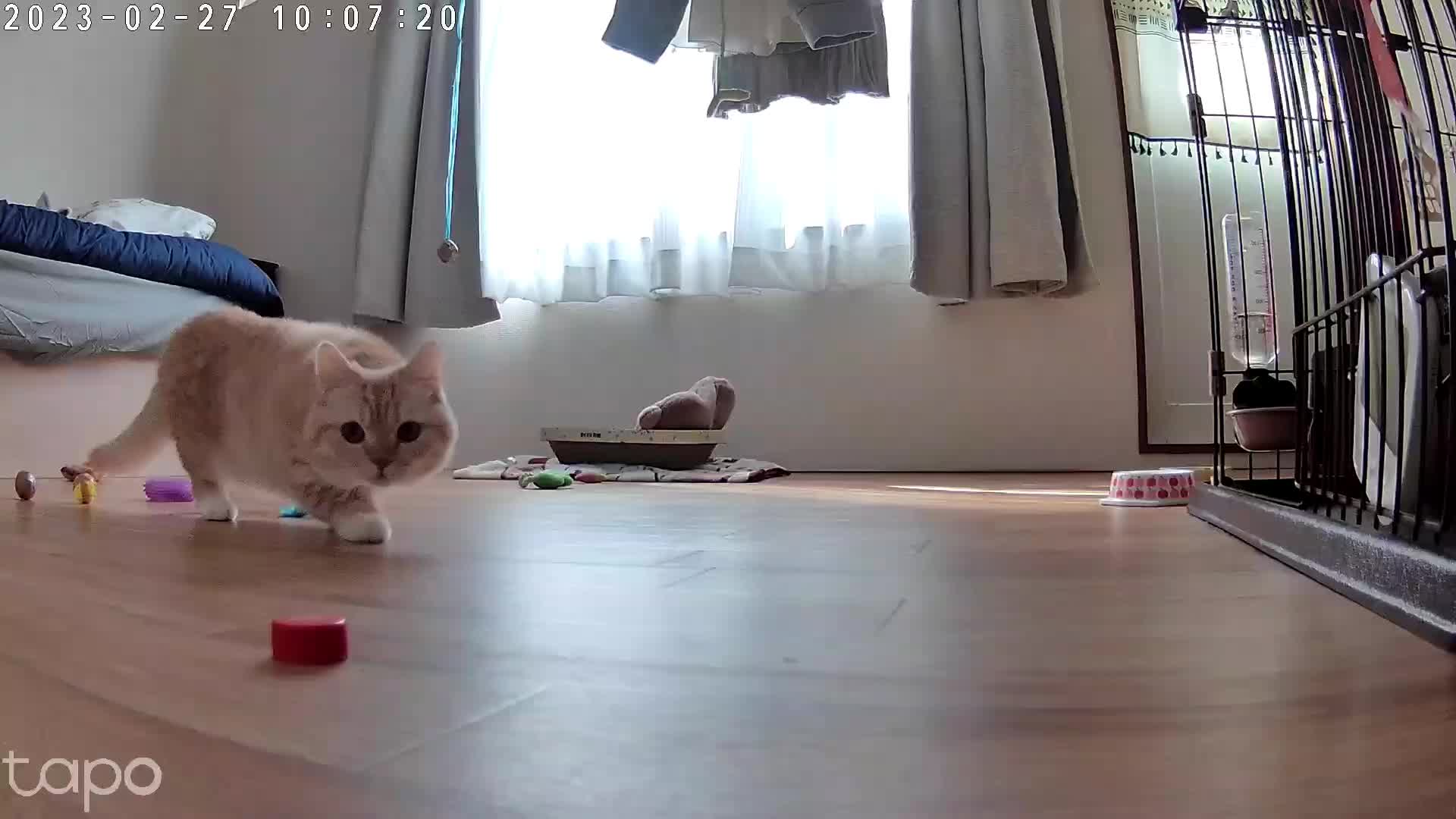 @縫くんと私