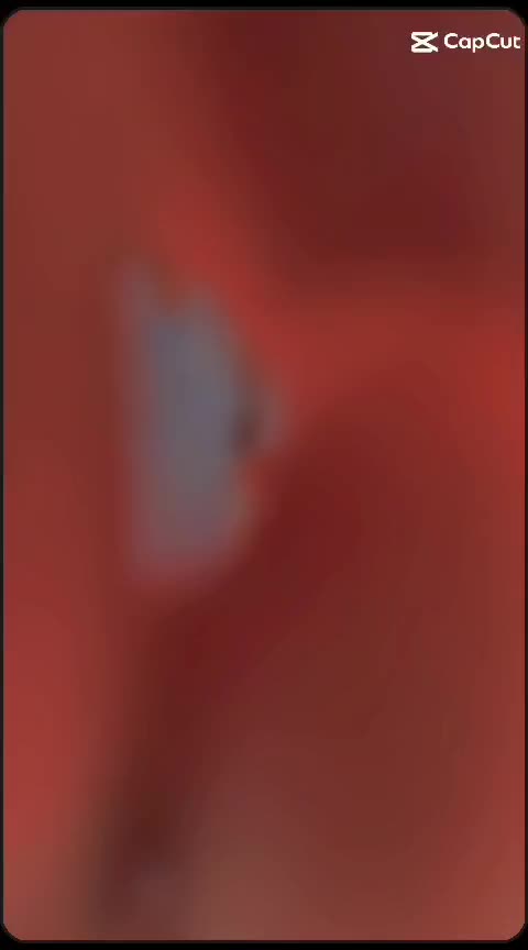 @𝓡𝓸𝓶𝓮𝓸..!
