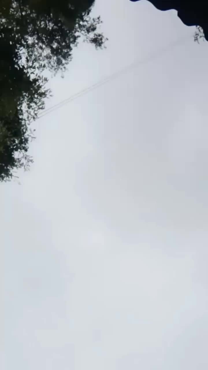 @Ha _ng _(=゚Д゚=)