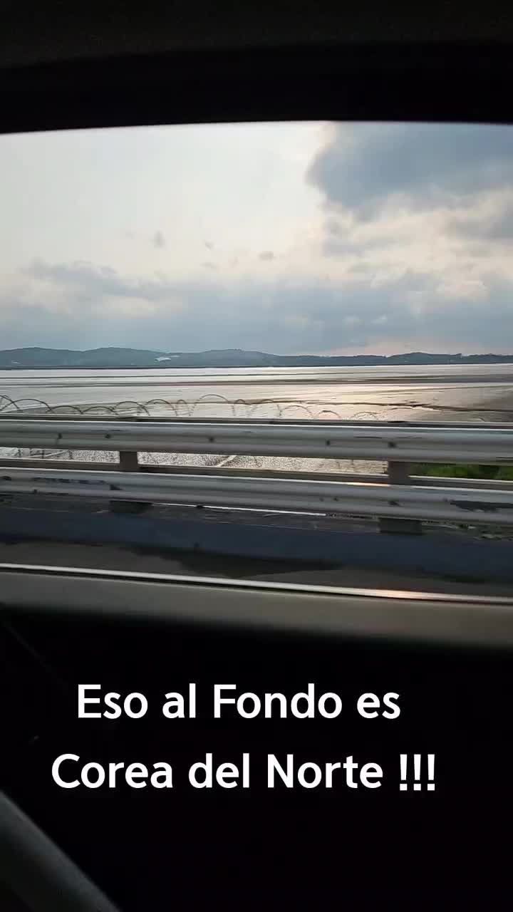 @Daniela Campo