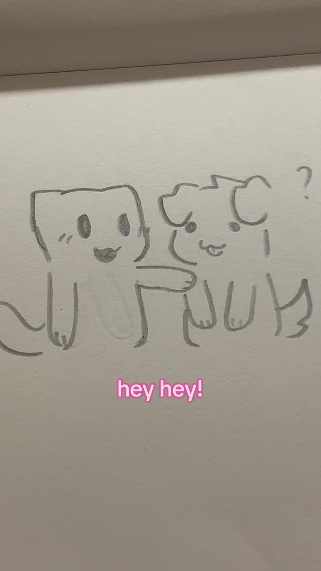 @silly :3