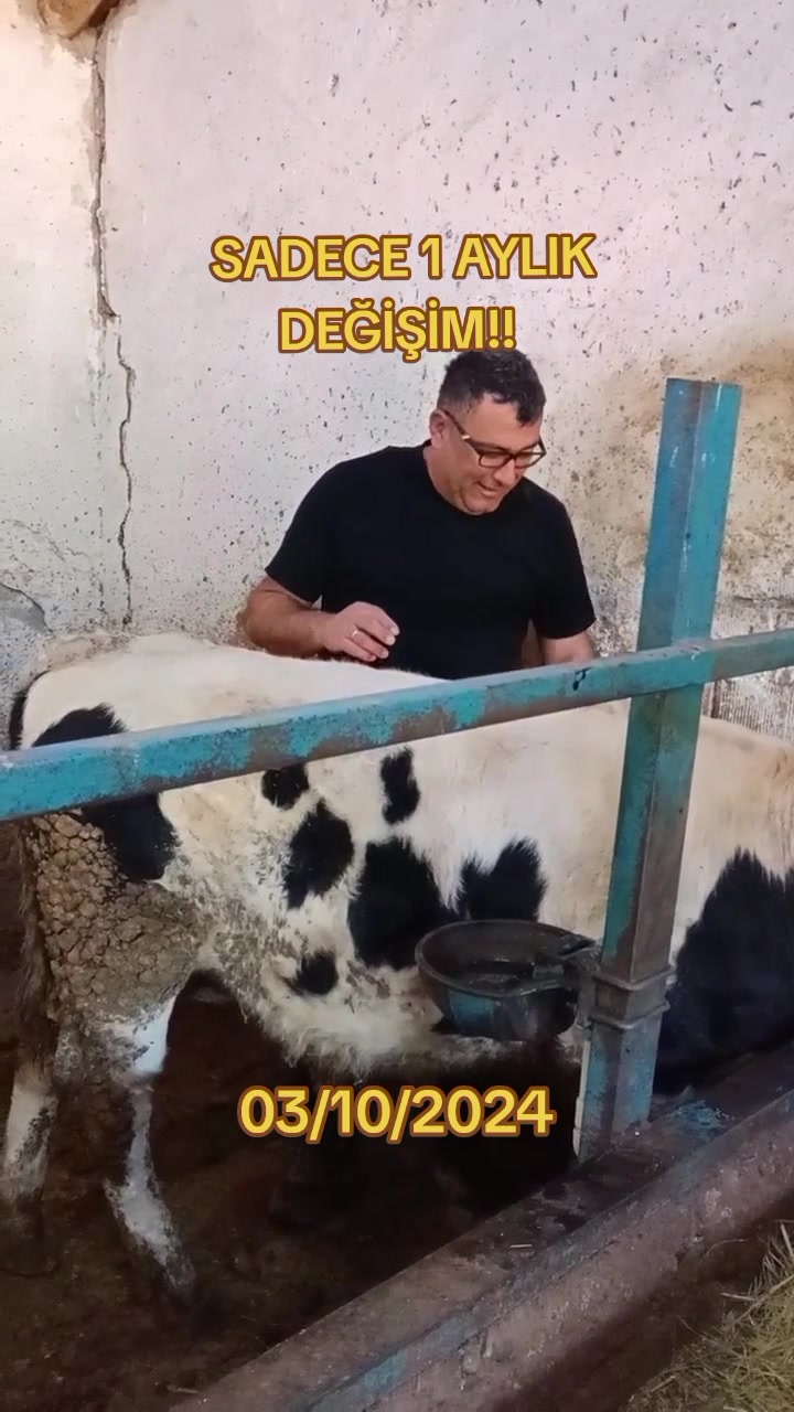 @Vet. Hekim Bülent SEZER
