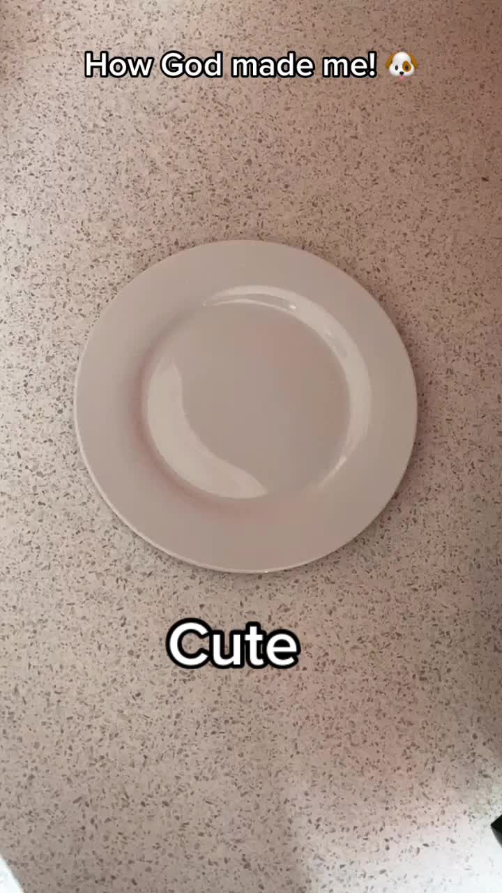 @🐕Fʟᴏssʏ🐕
