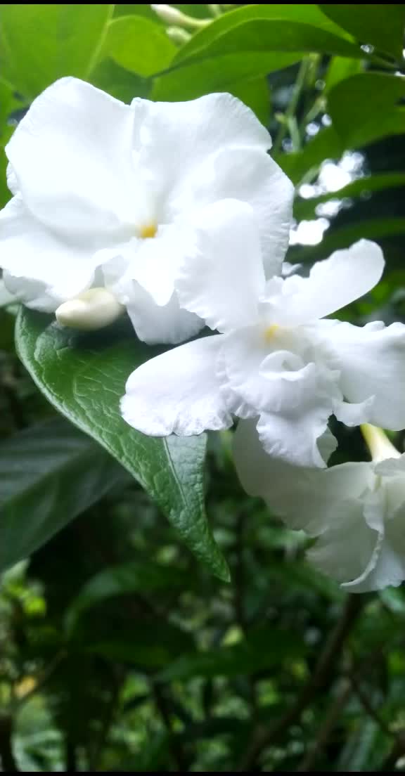 @๐A_๐ฒ_H_I_๐ฒ_H๐®๏ธ™๏ธ