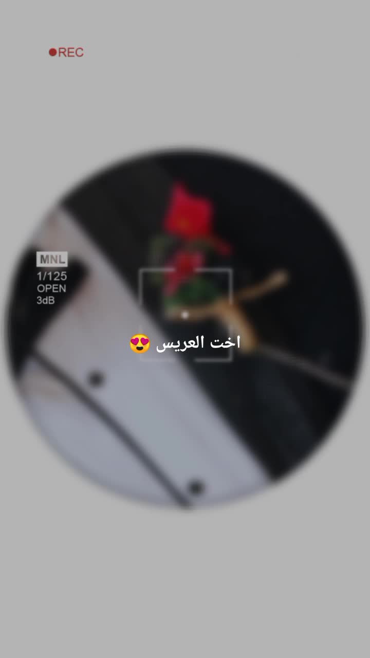 @ننوشه 🌸