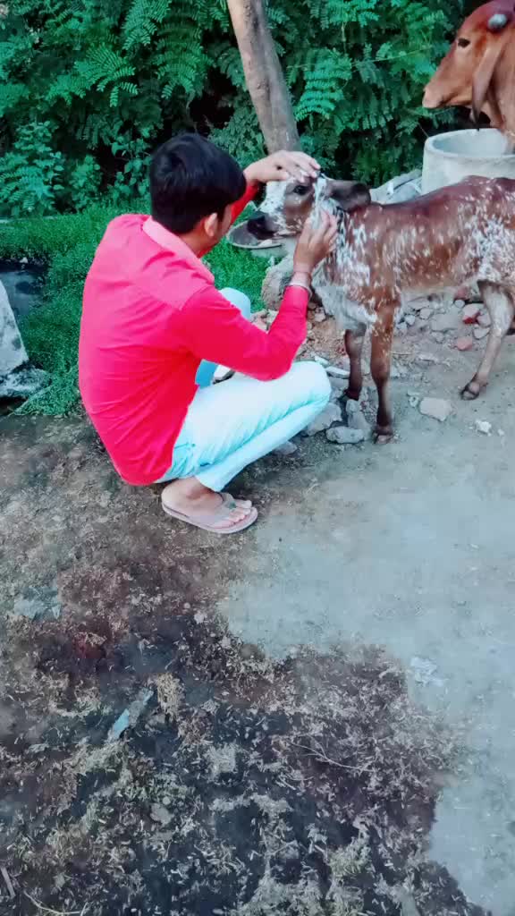 @Siku_Jogi_😎