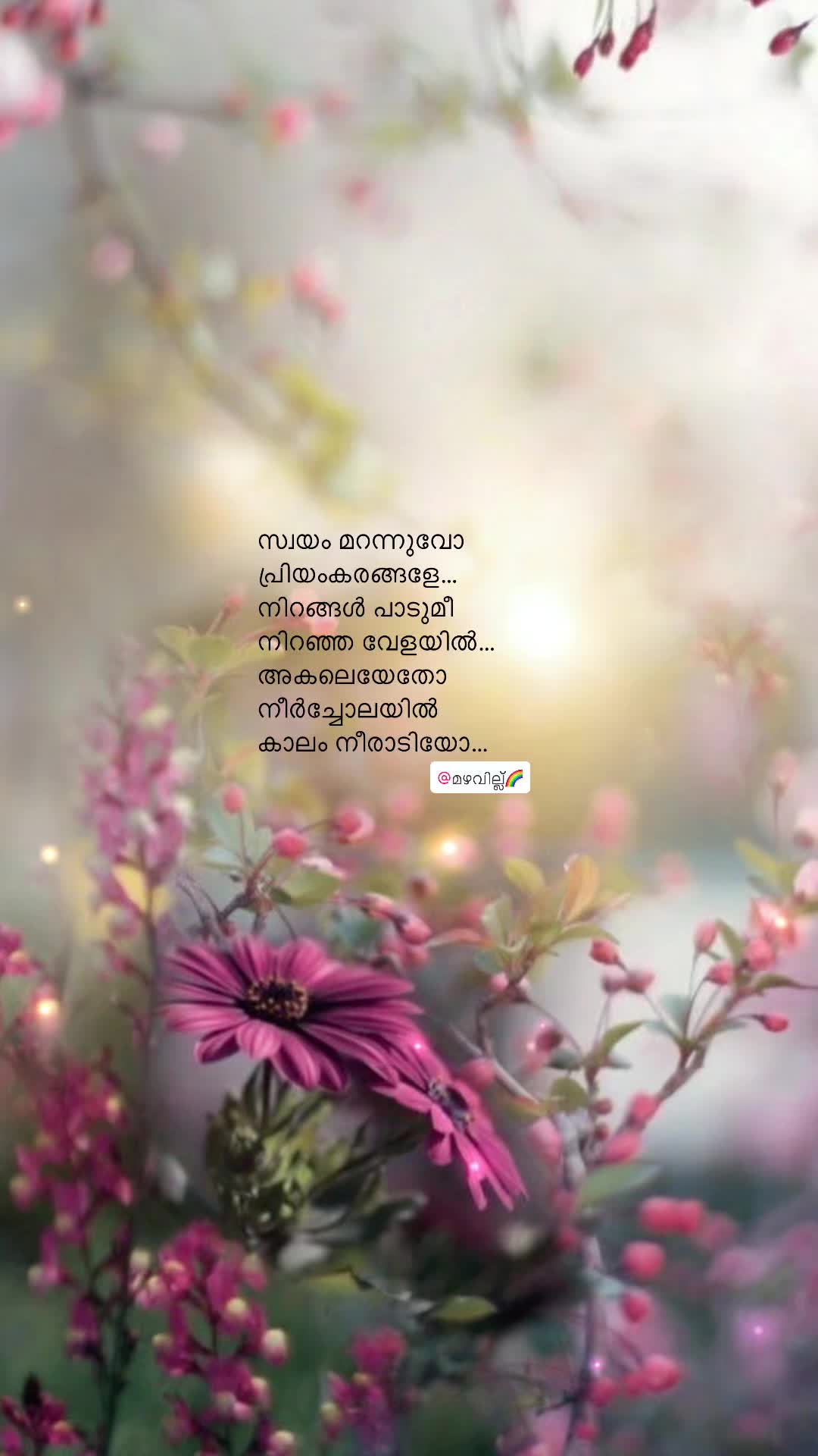@മഴവില്ല്🌈