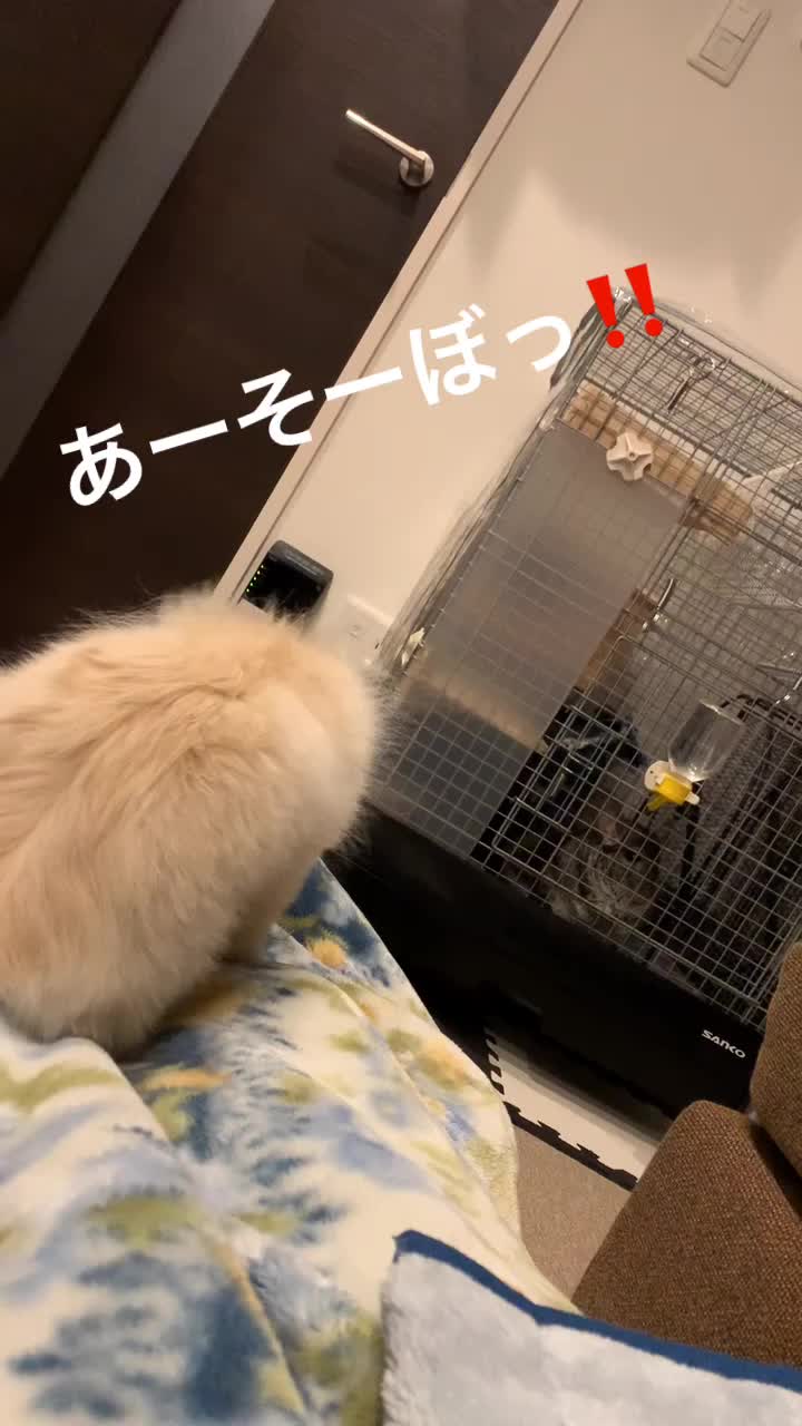 @ちーちゃん