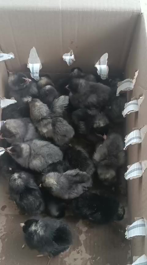 @Аймани 🌷
