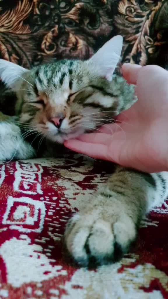 @🖤⭐Настенька⭐🖤