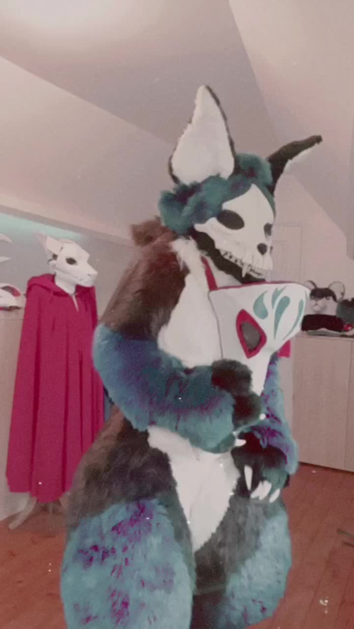@KITJUNE