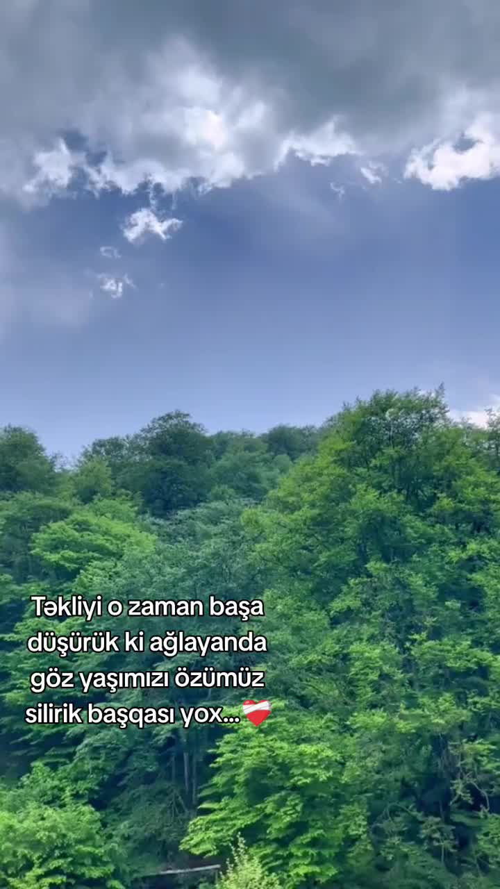 @smf_002
