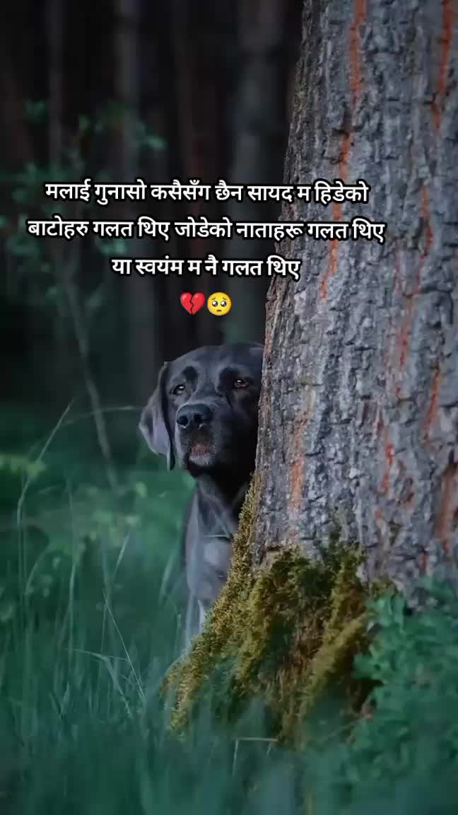 @तिम्रो काली म🦋🦋