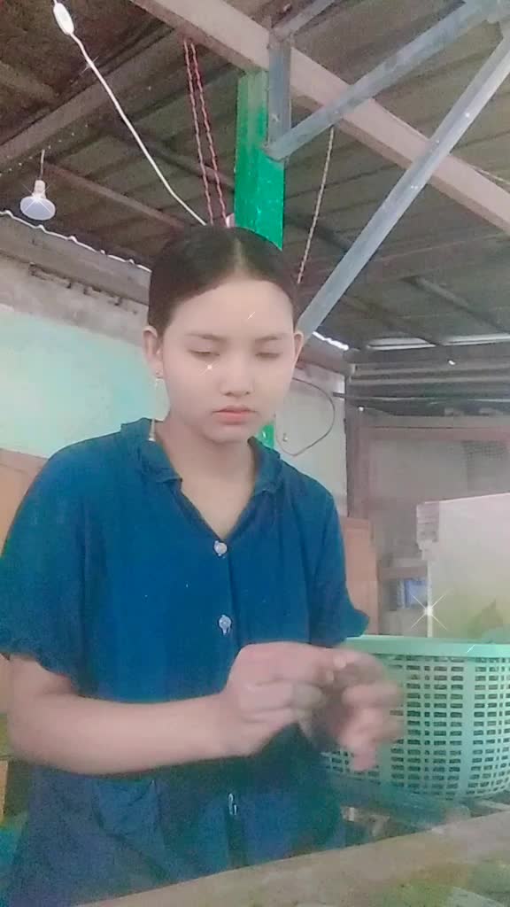 @user1211134417886သင်းသင်း