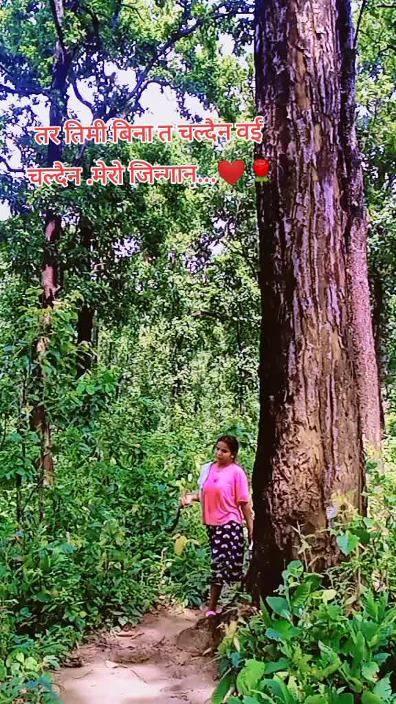 @@darnalmaya❣️