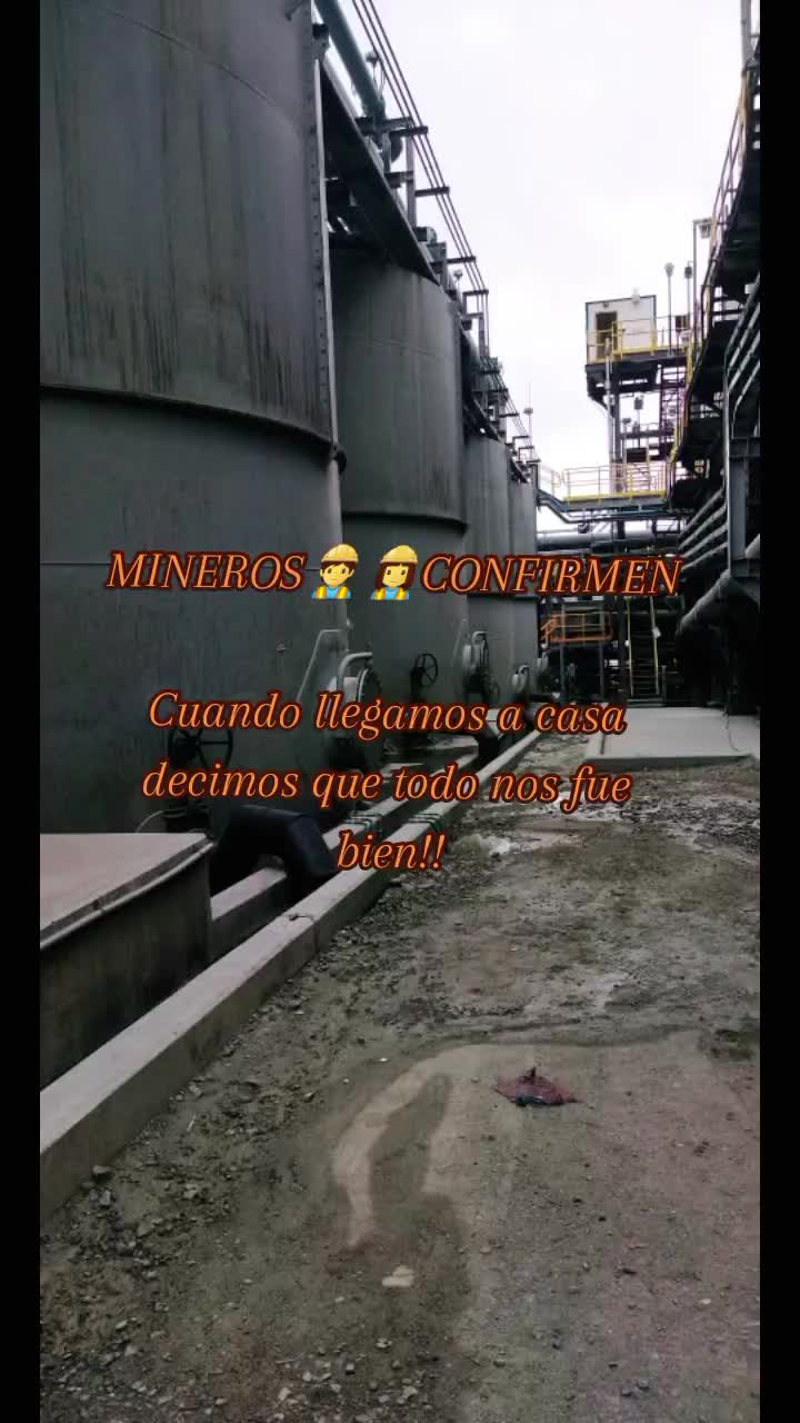 @Violeta Camones | SST