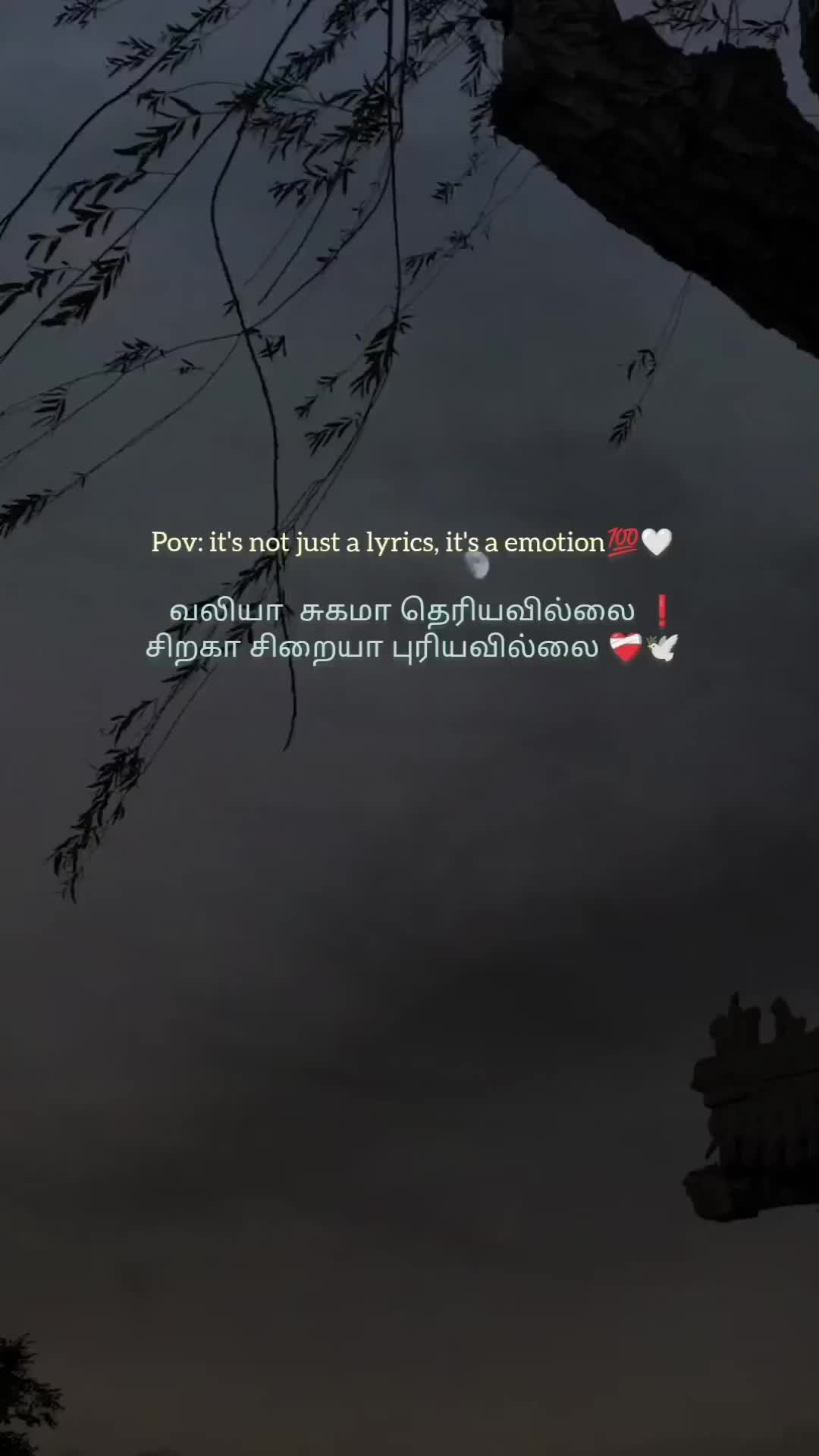 @ᵐᶤᵗʰᵃᵃᶰᵍᵉˡ🕊️
