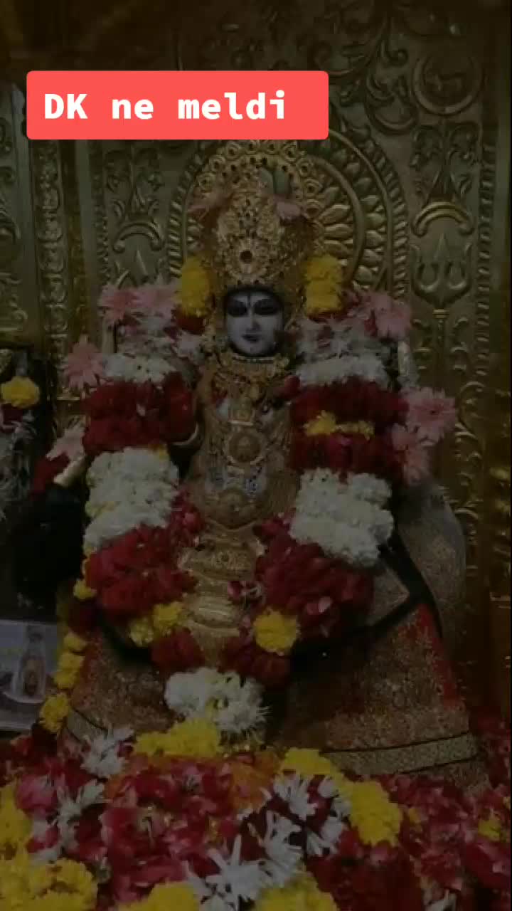 @Tigar meldi 1111