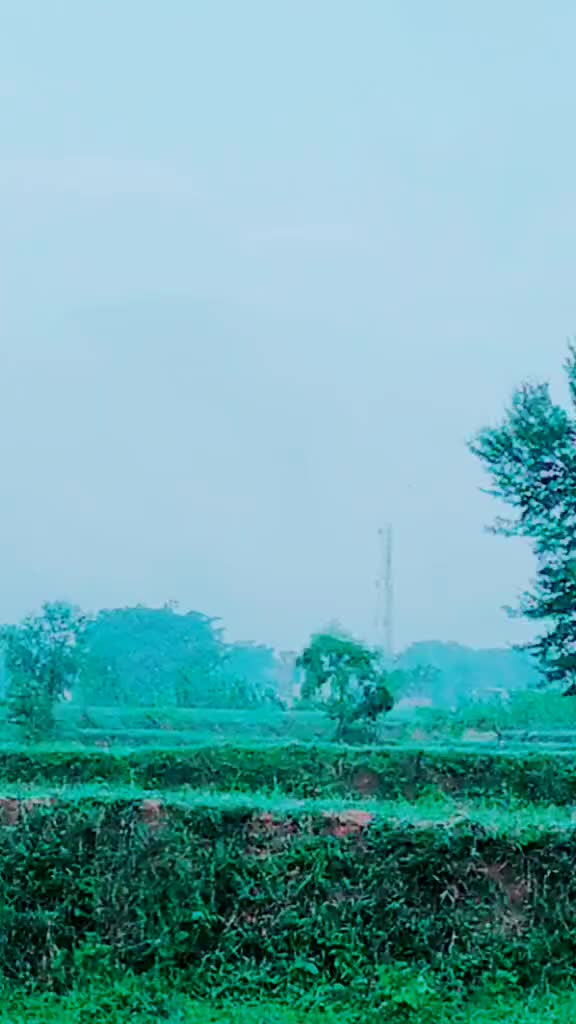 @RAJABABUNAG