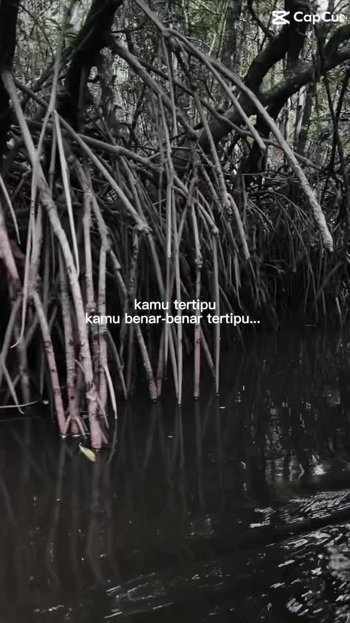 @Tanjung Rhu mangrove Tour