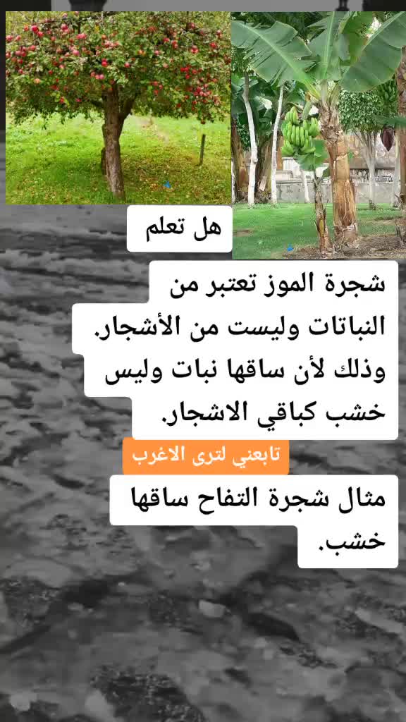 @☪️ابو طوفان ♓