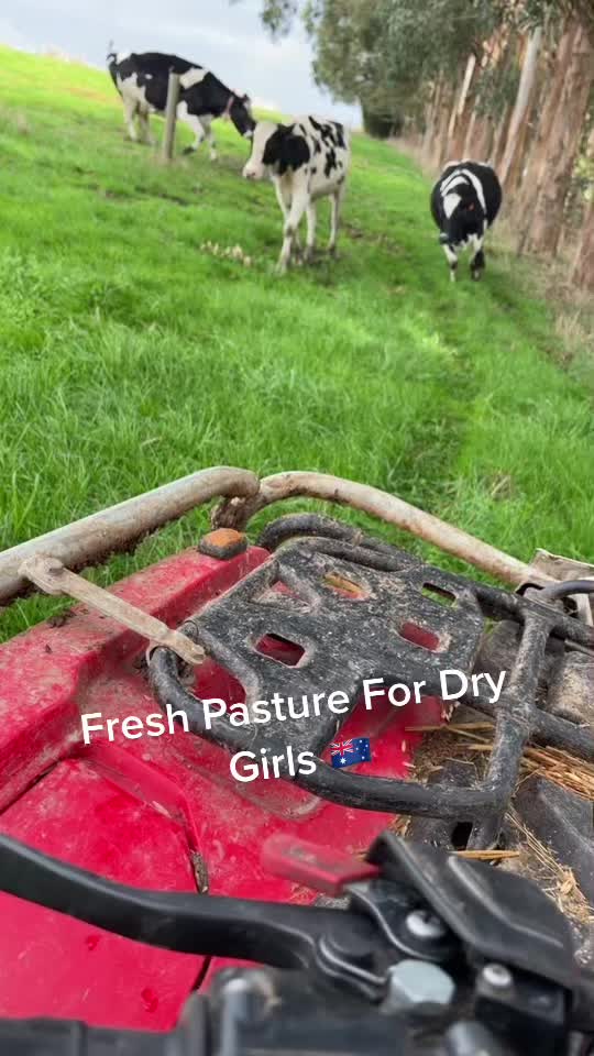@Aussie dairy vics