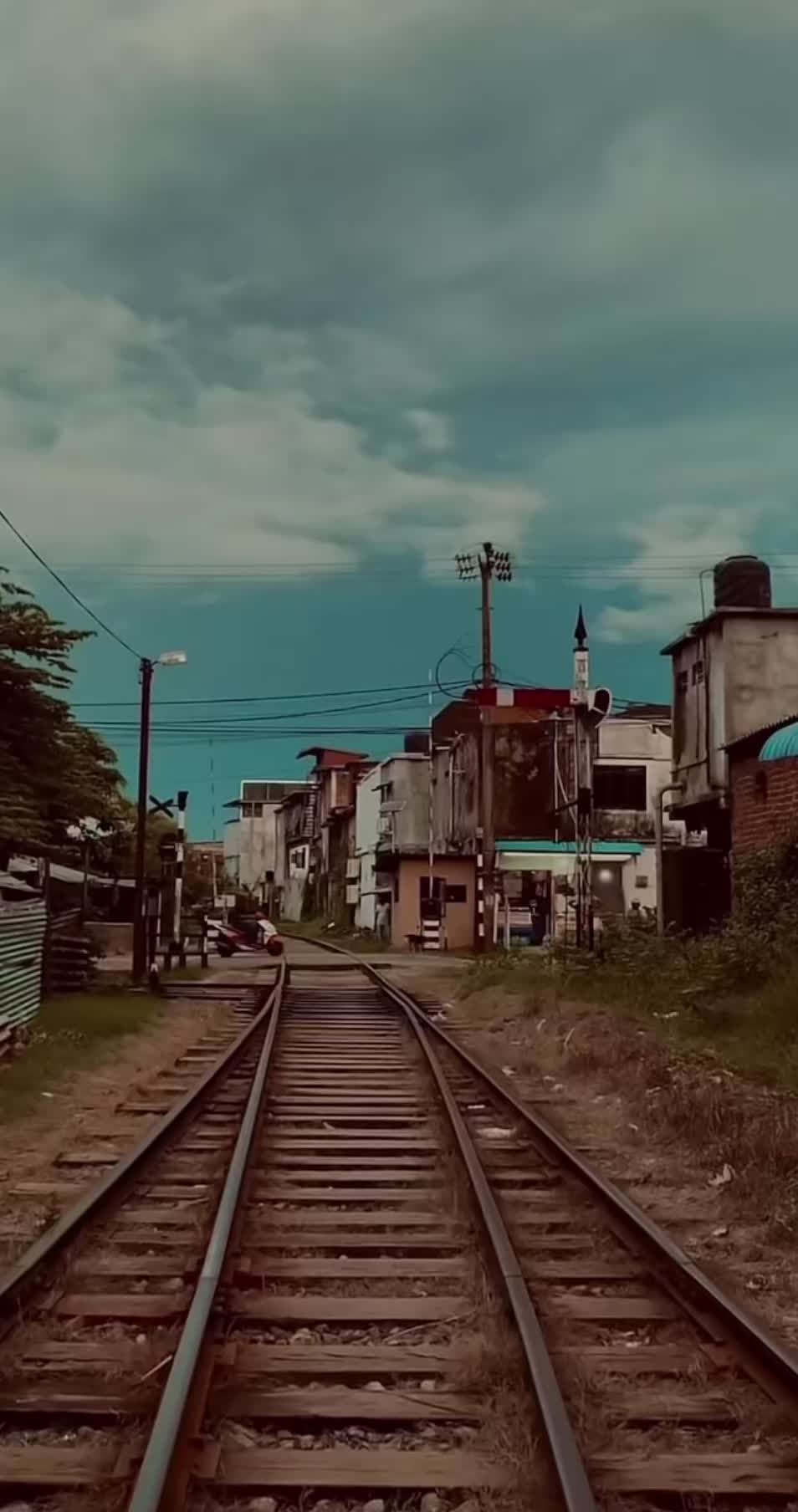 @вloѕѕoм 🤍