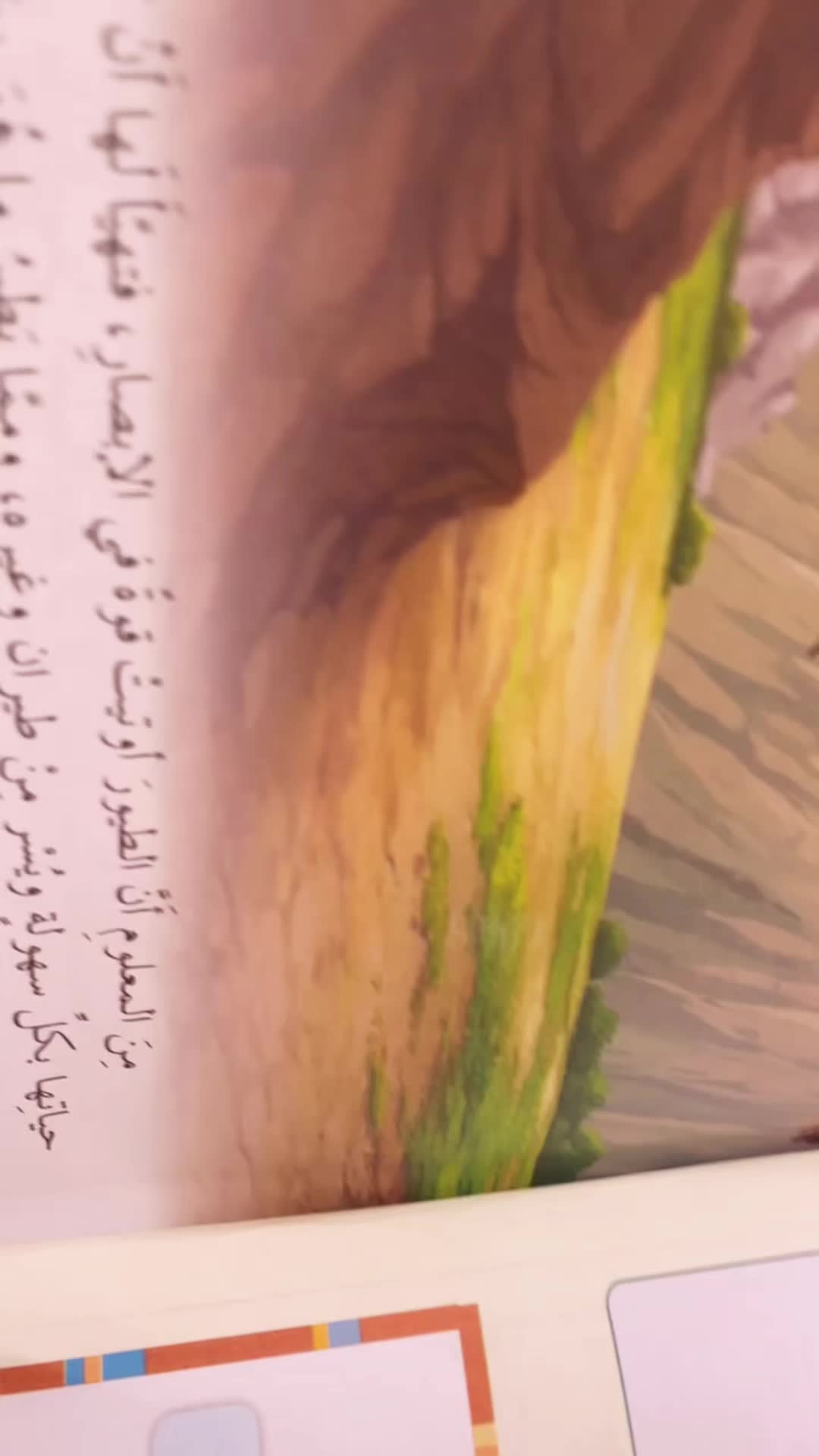 @ARAR.123456