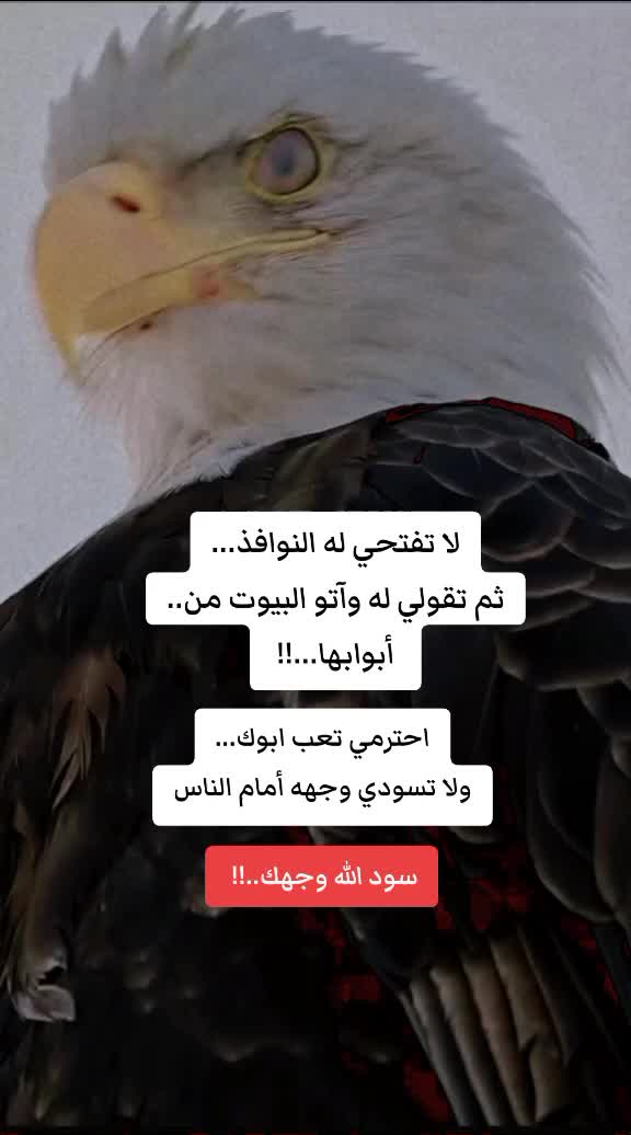 @رهف الحجوري