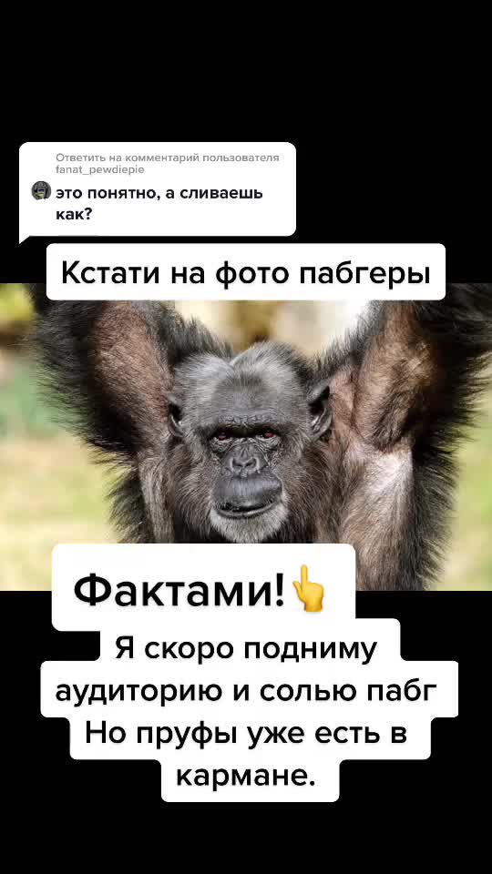 @Импакт