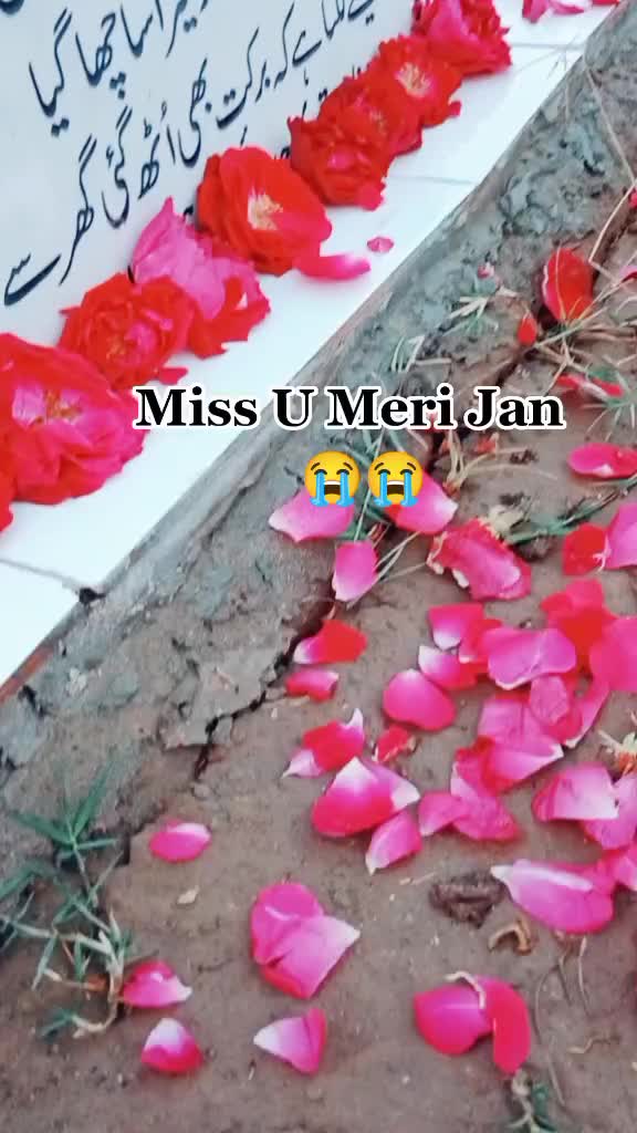 @KhalilMalik512
