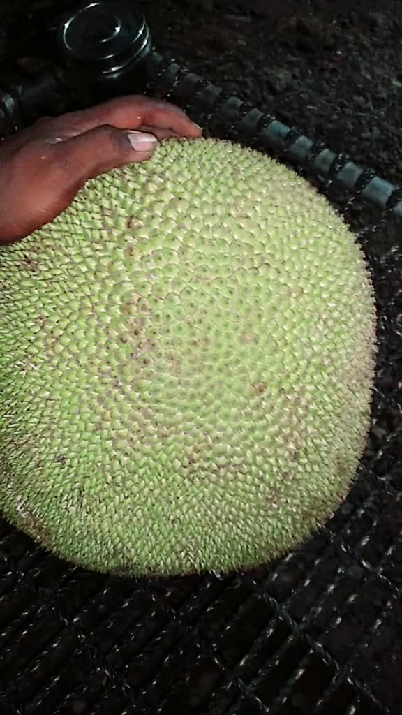 @உழைக்கும் விவசாயி