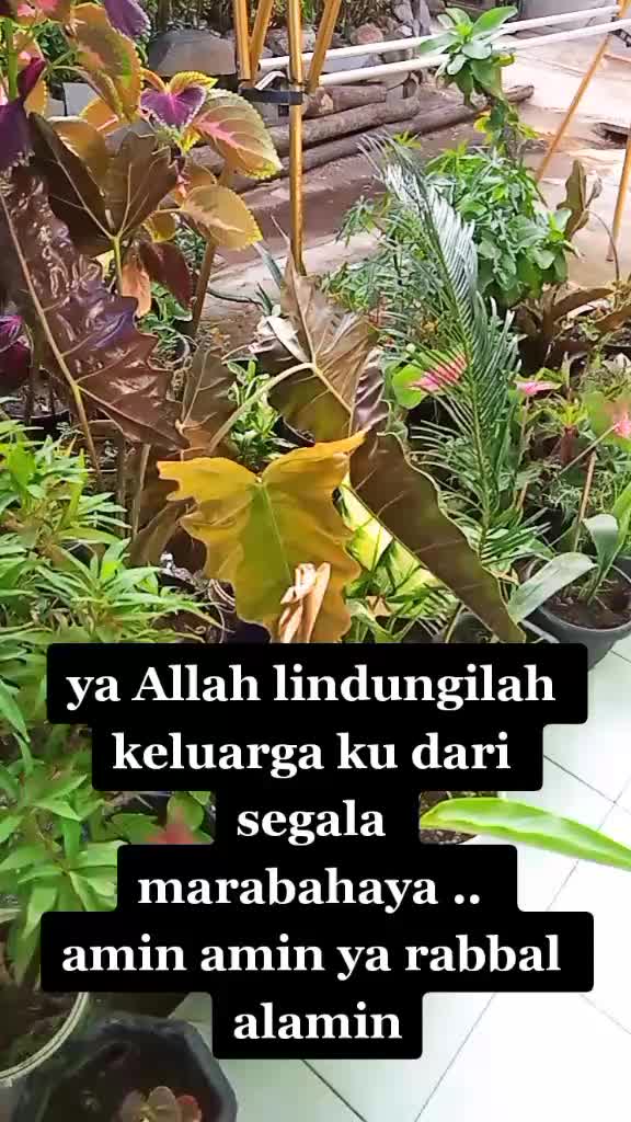 @💞 VINA RIYANI 💞