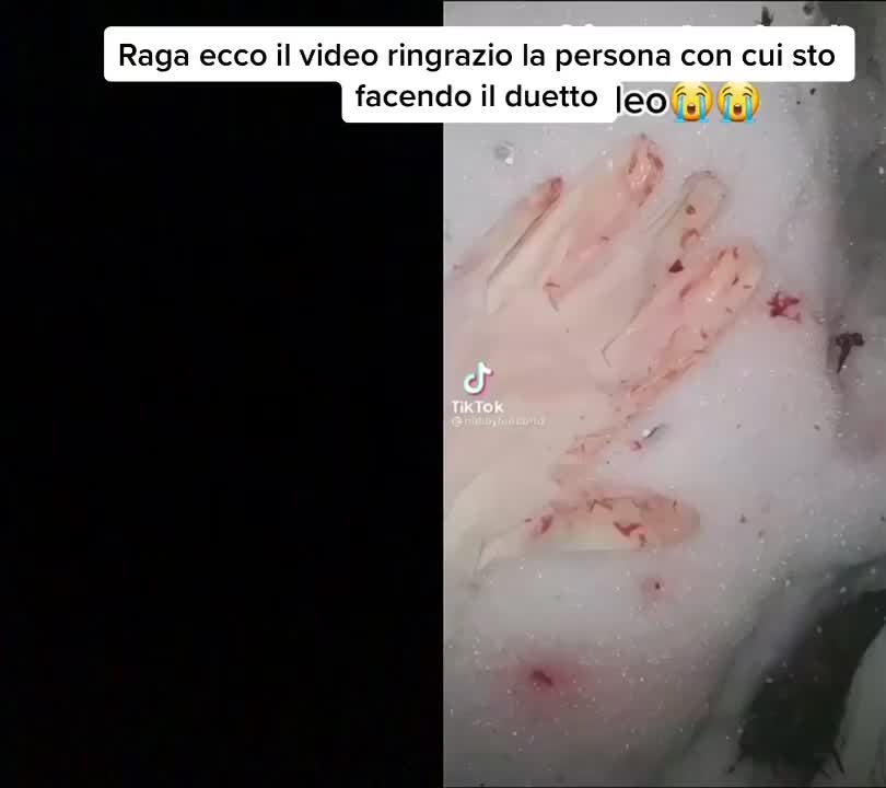 @tiziogrigio26