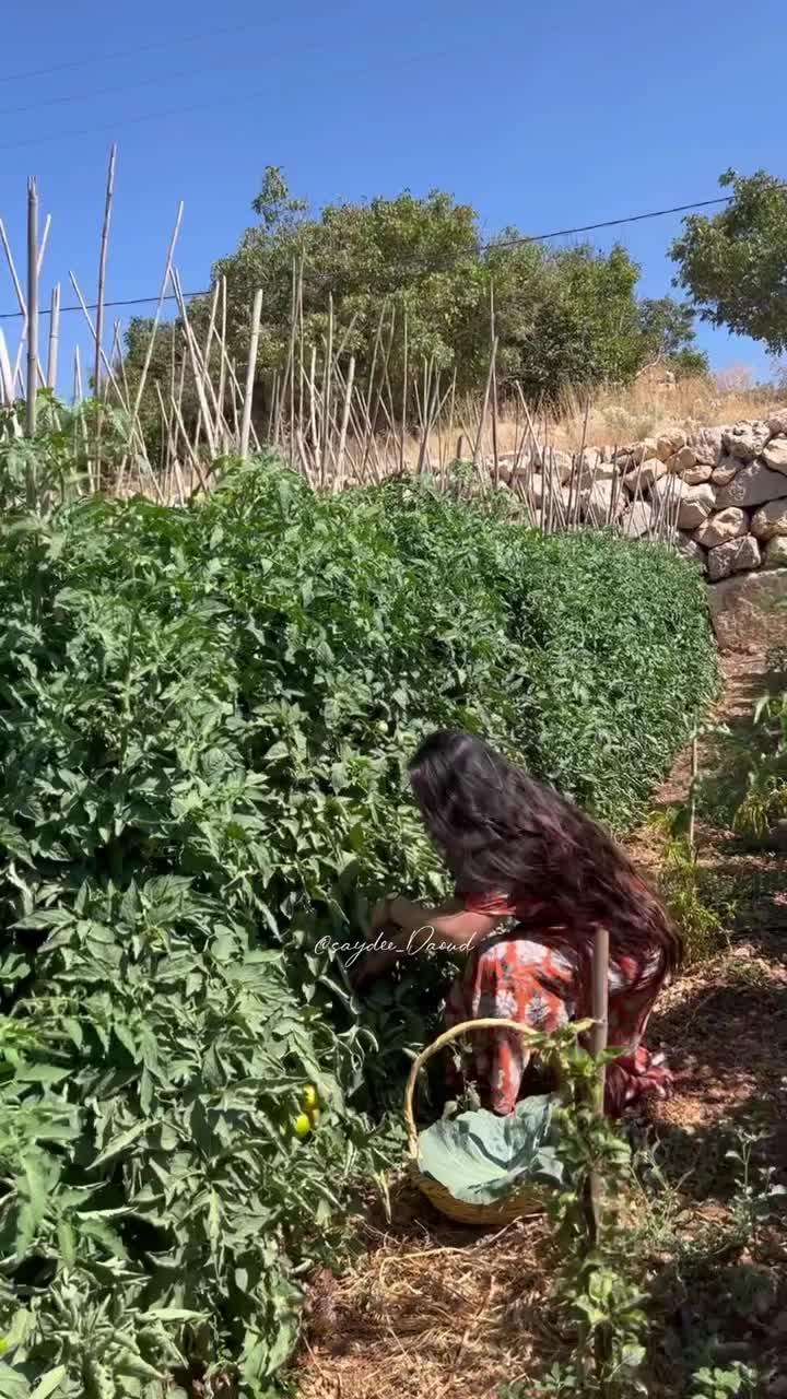 @Saydee | سيدة
