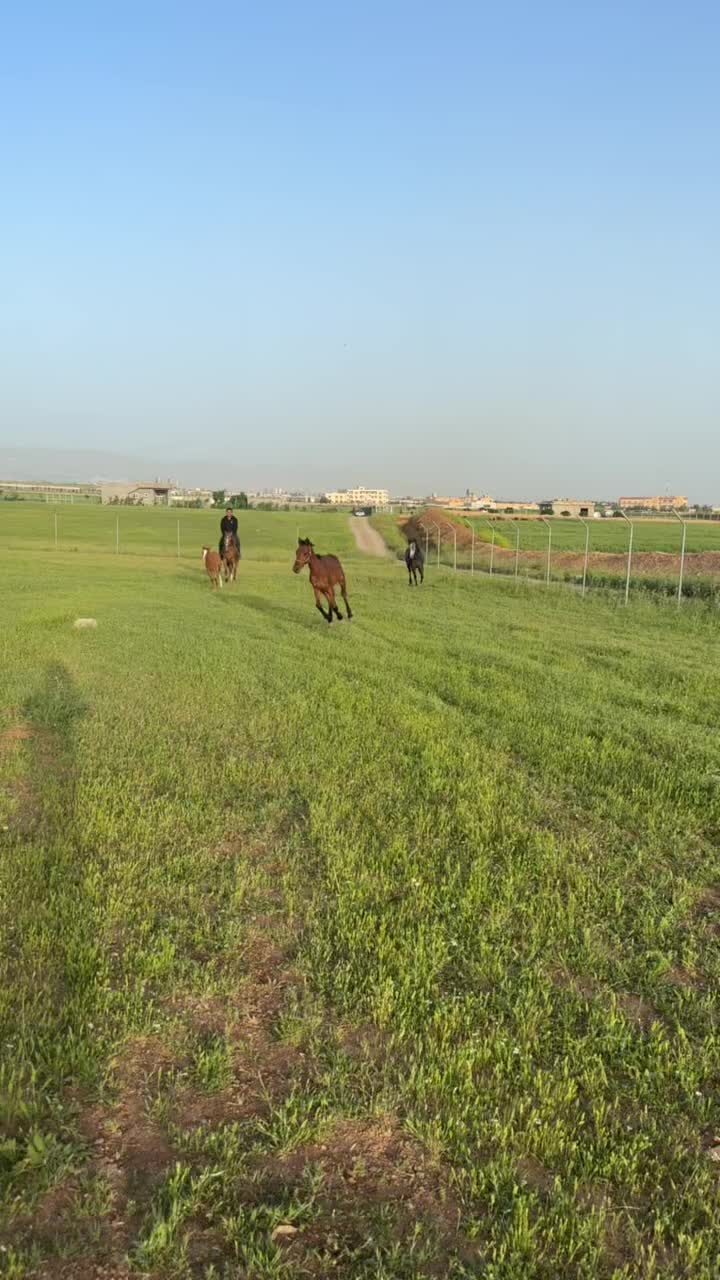 @Hikmat Kanabi