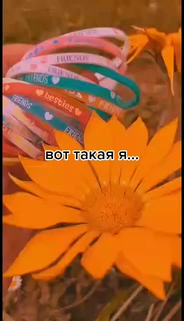 @sabnees