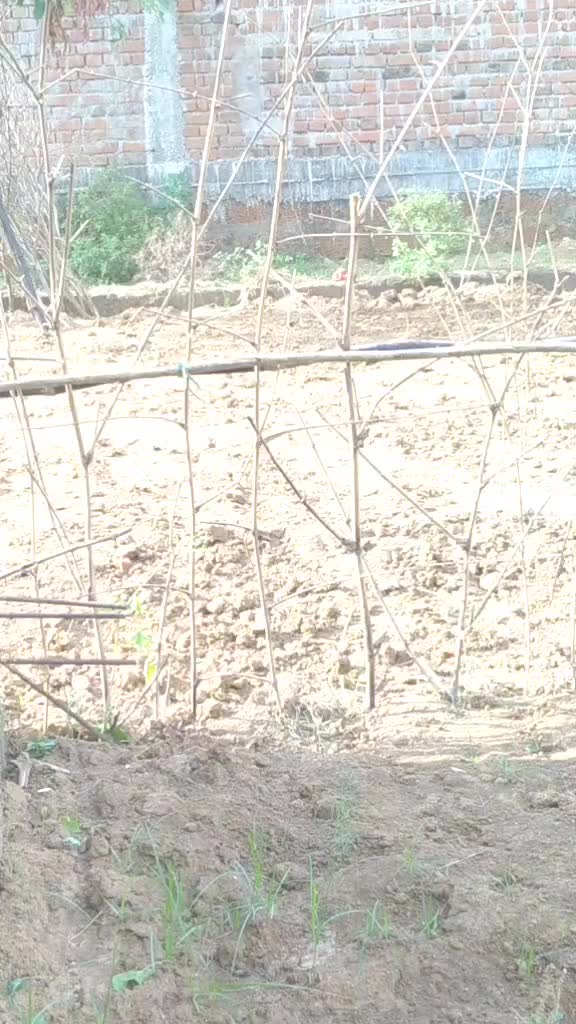 @puja