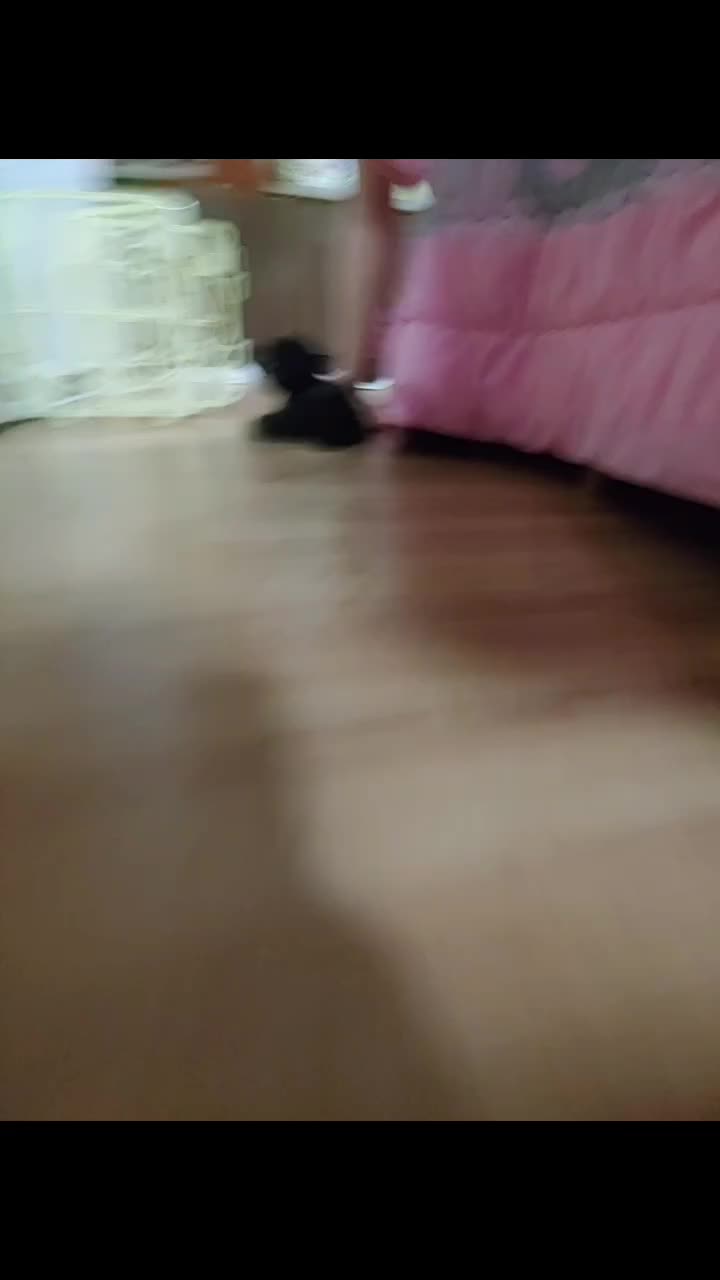 @땡롬쓰 해안경(?)