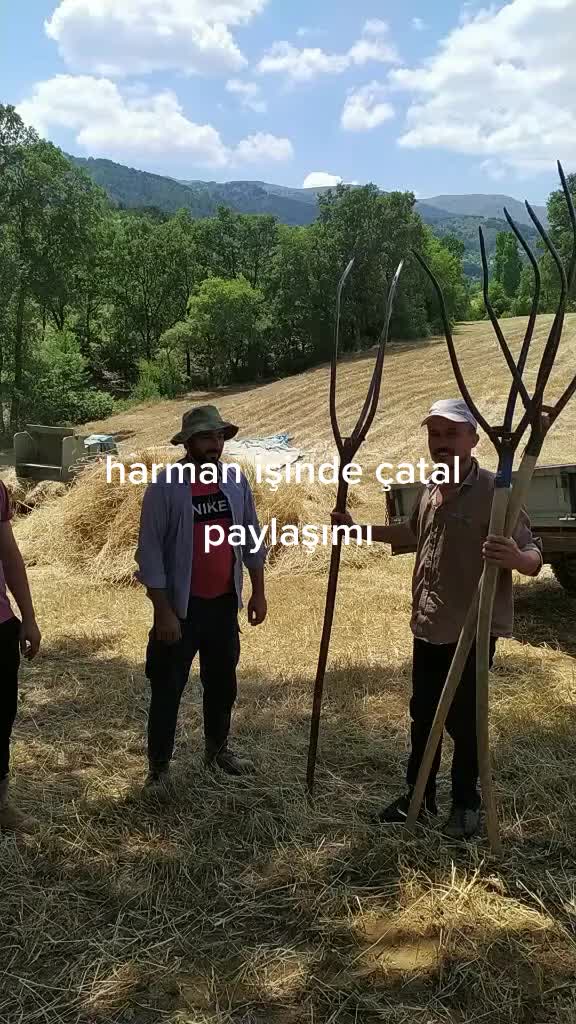 @Ali &Ccedil;ankaya