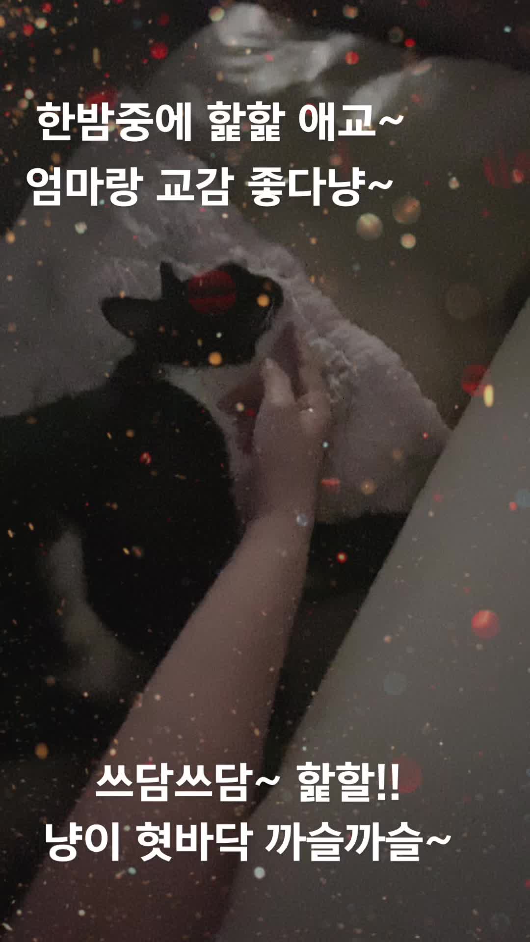 @lifewithkitty