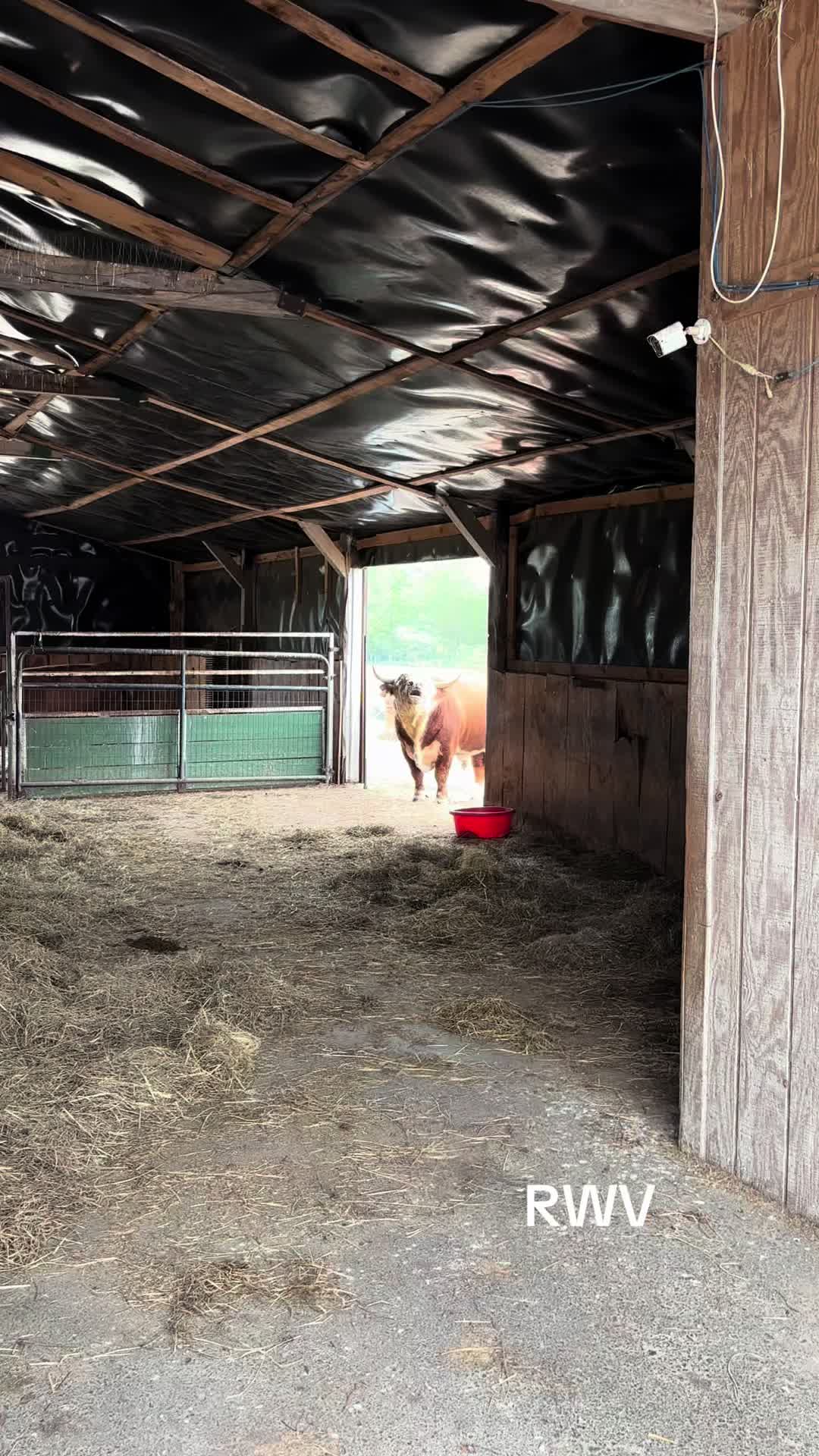 @RWV Land & Livestock