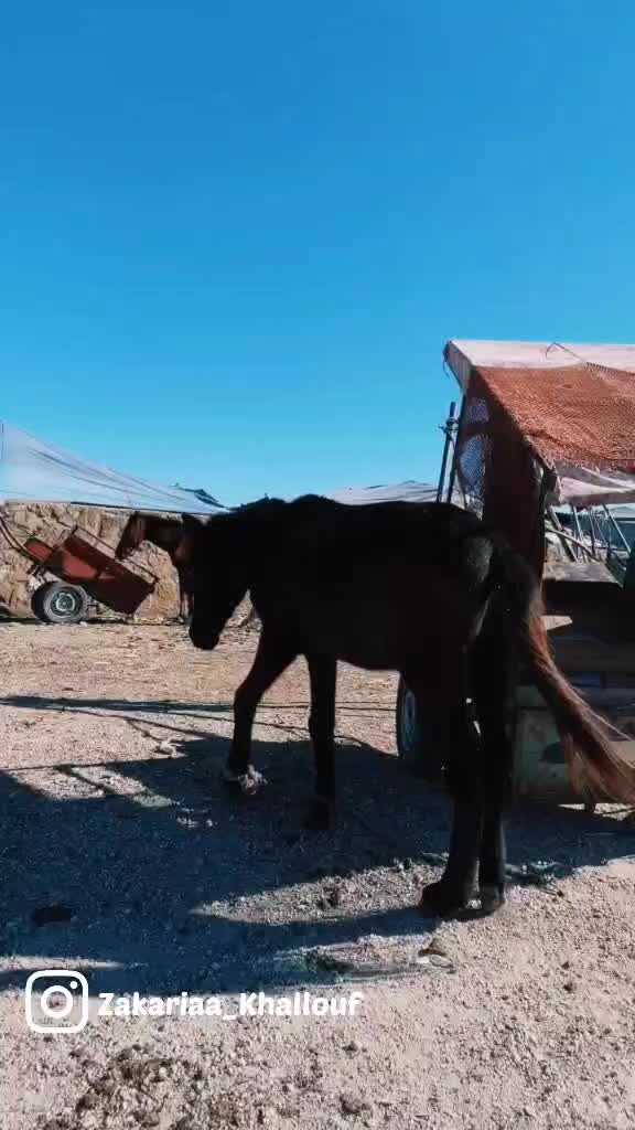 @Zakariaa_Zakii