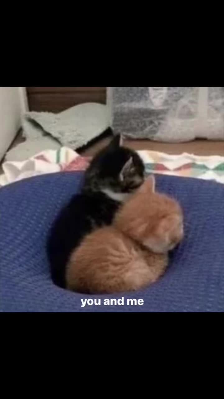 @๐