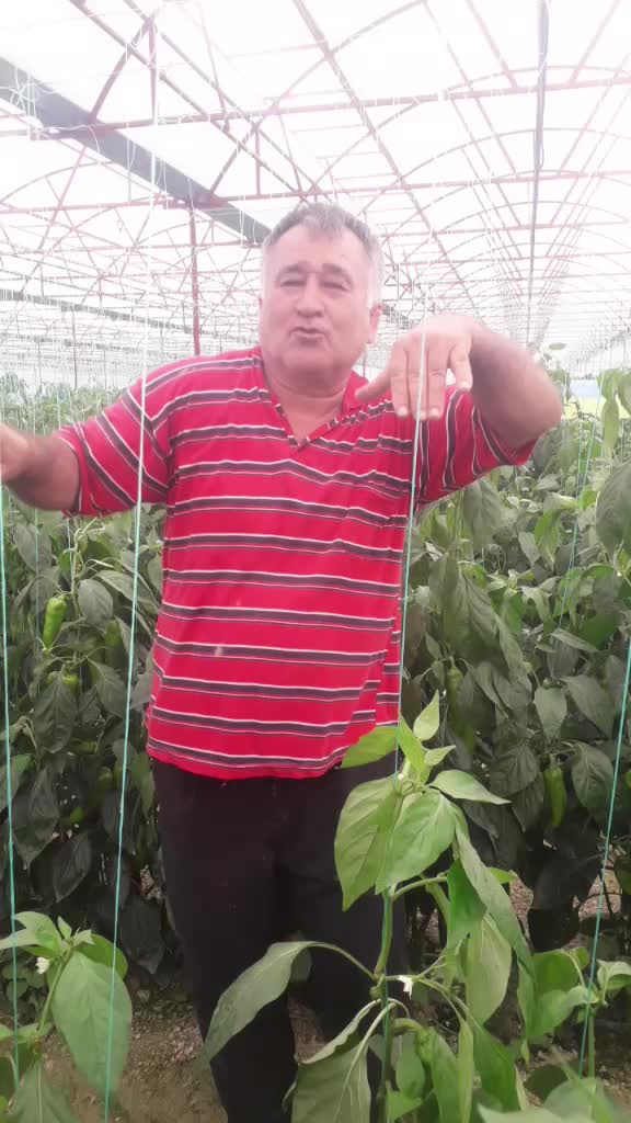 @Süleyman Çoban