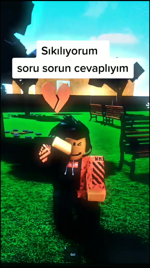 @Erol Efe
